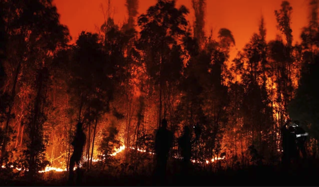 Evacuation Alerts and Socioeconomic Inequalities